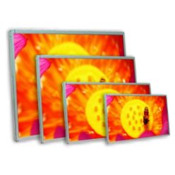 AGL  12.1"w LCD/TFT panel with 1000nits brightness